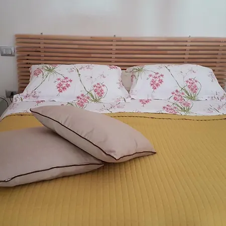 Scuto 4* Катания