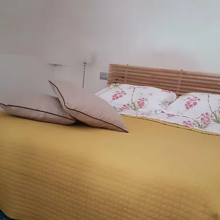 Scuto Pensionat Catania