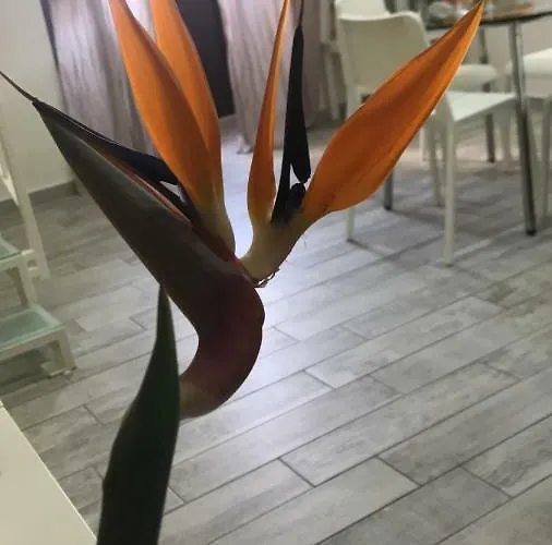 Scuto Guest house Catania