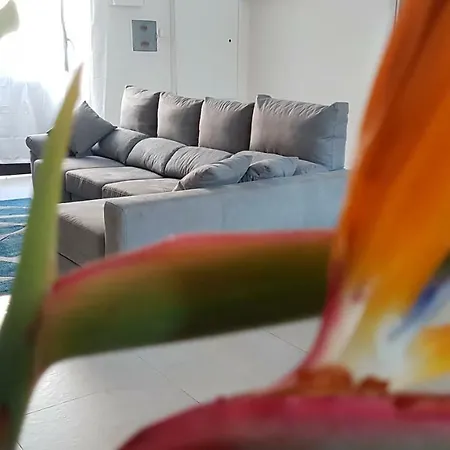 Gasthuis Scuto Catánia