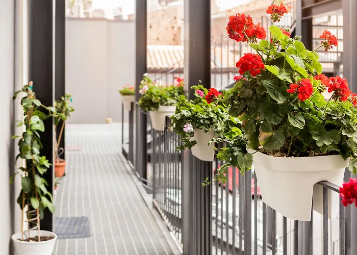 Scuto 게스트하우스 카타니아